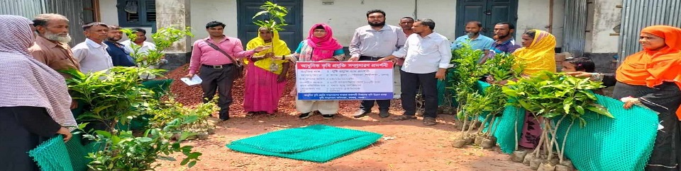 প্রদর্শনী স্থাপন কার্যক্রম