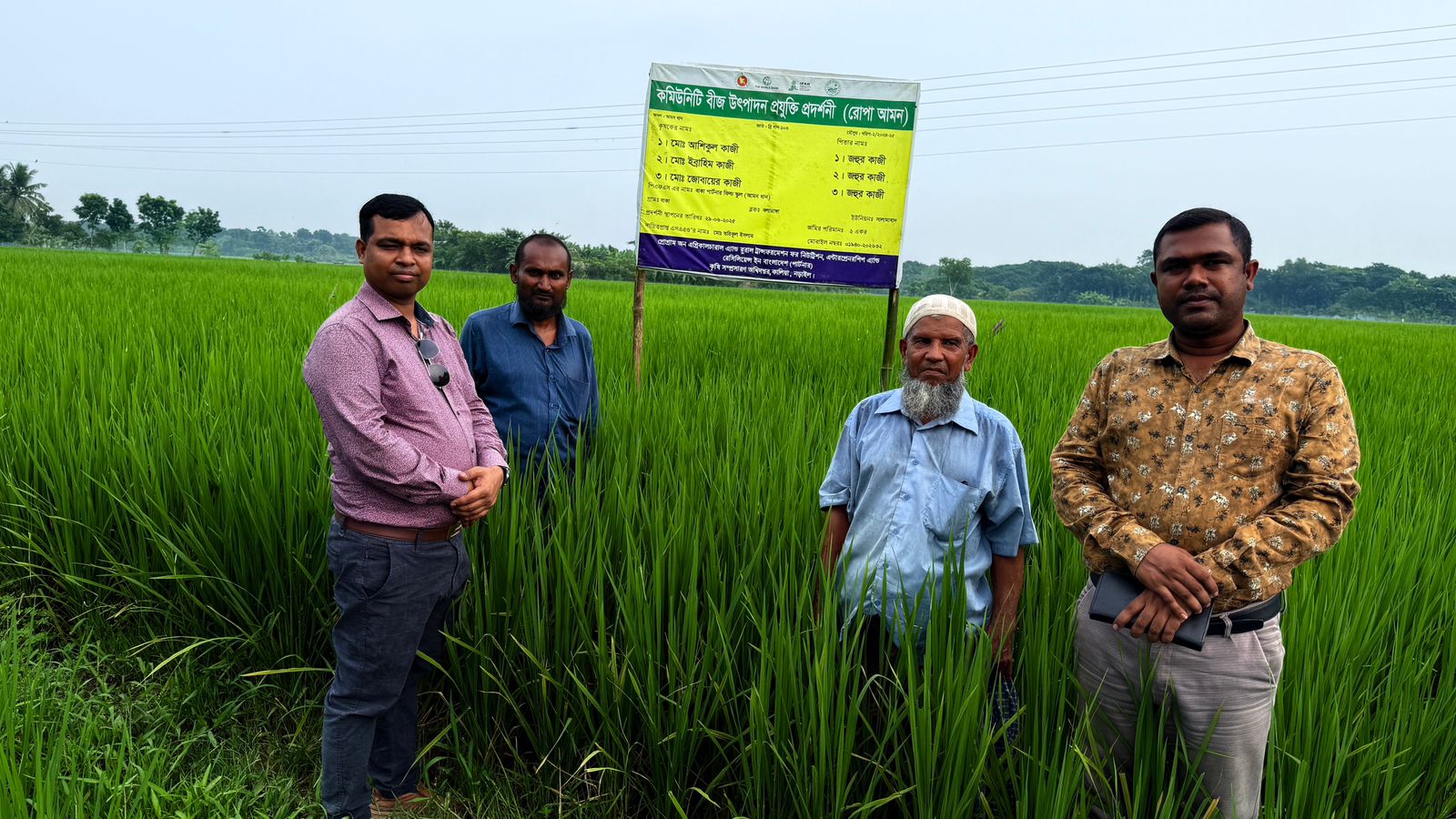 কমিউনিটি বীজ উৎপাদন প্রদর্শনী (রোপা আমন)