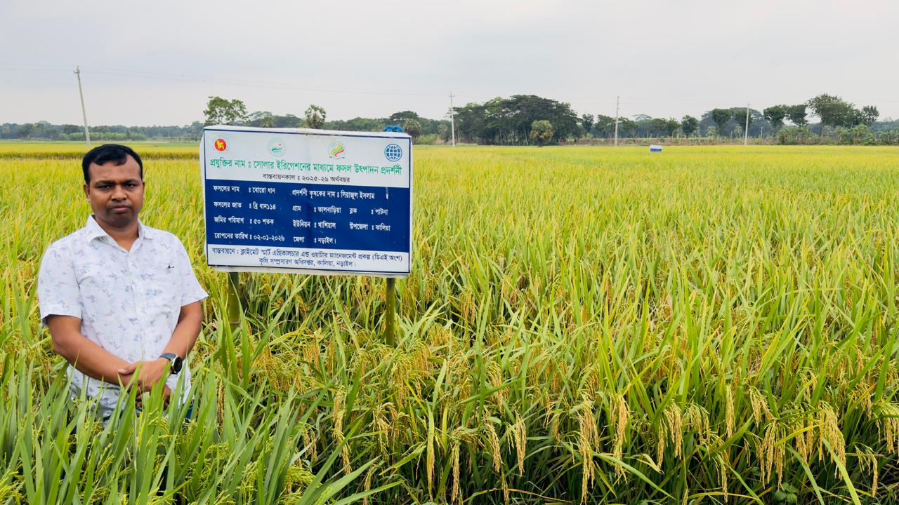 ধানের প্রদর্শনী