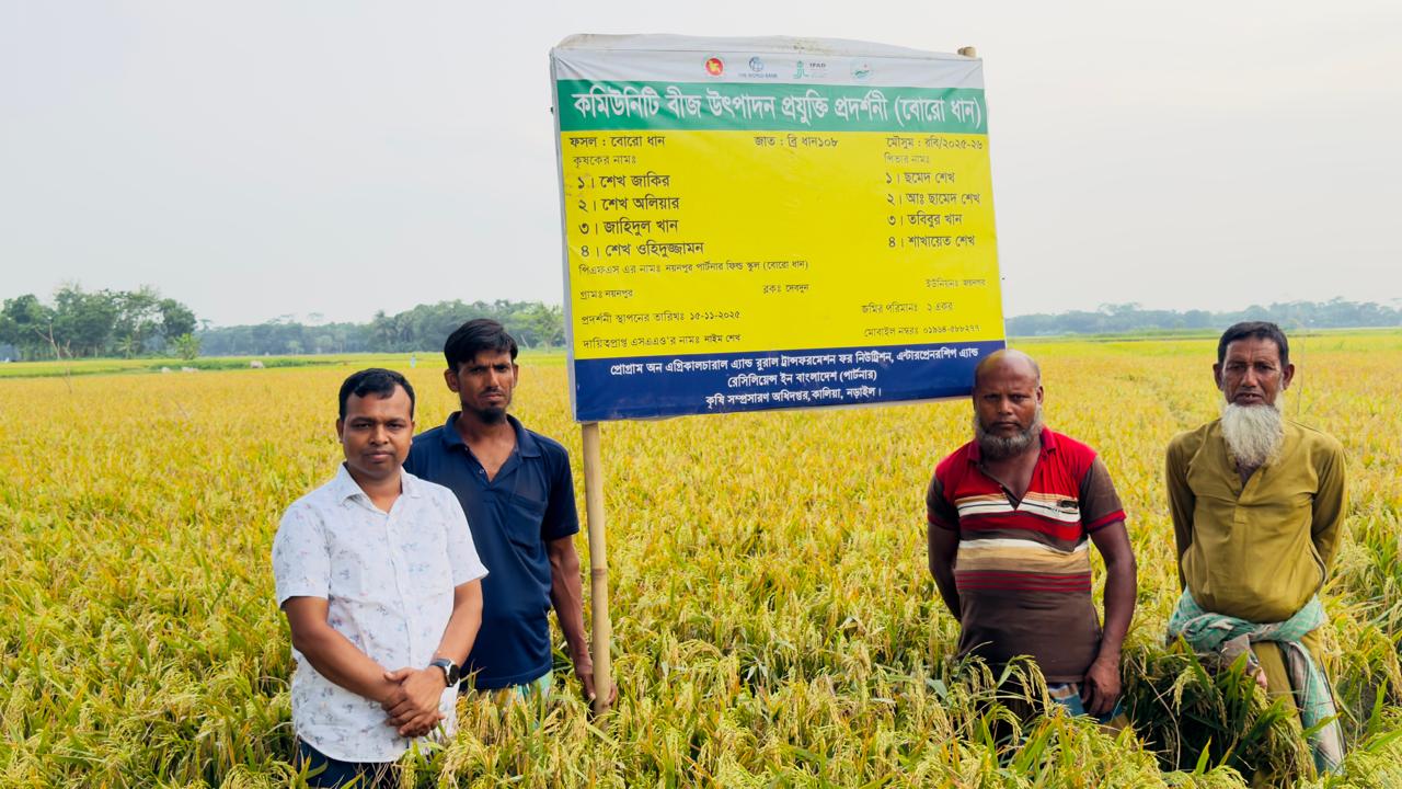 কমিউনিটি বীজ উৎপাদন প্রদর্শনী (বোরো)