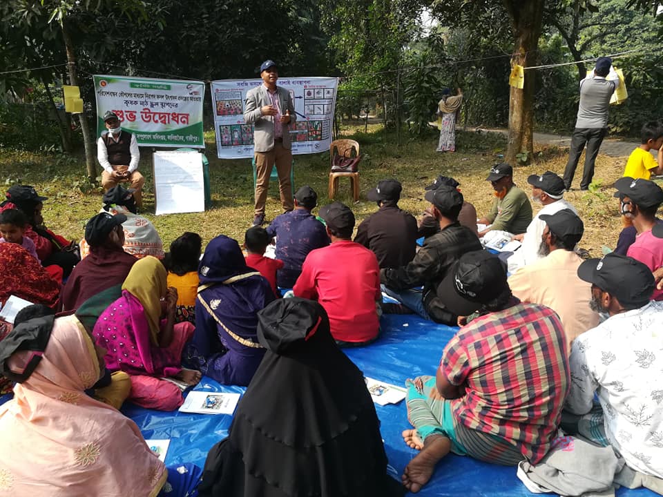 বরাব আইপিএম কৃষক মাঠ স্কুল কার্যক্রম চলমান