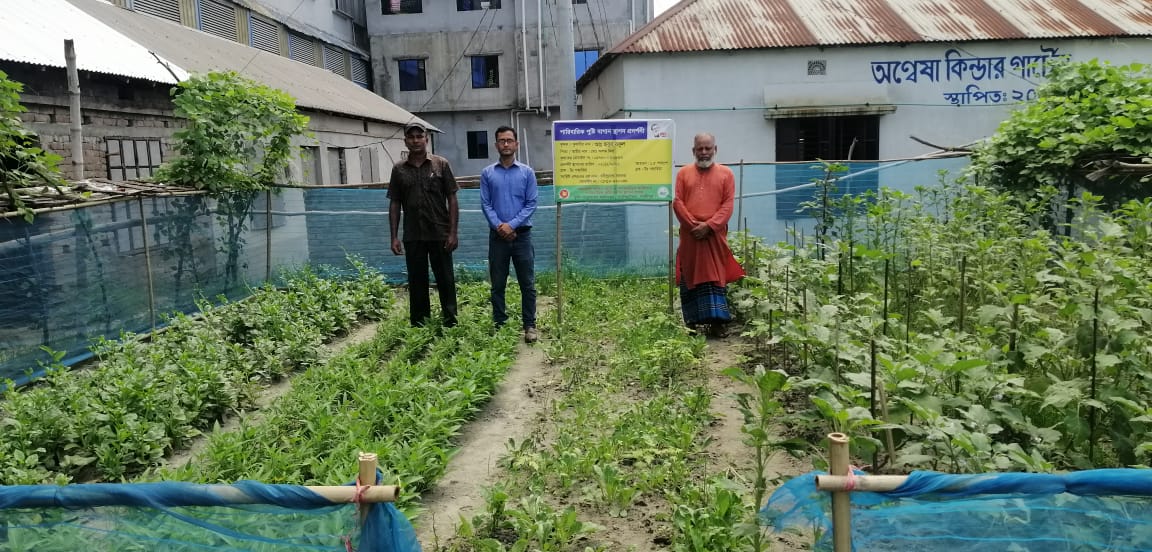 পারিবারিক পুষ্টিবাগান