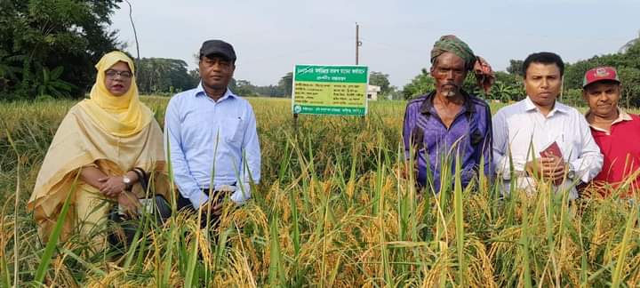 রাজস্ব বোরো ধান প্রদর্শনী কার্যক্রম পরিদর্শন