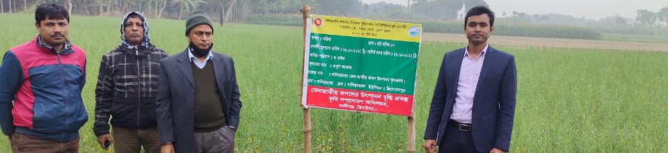 তেল ফসল উন্নয়ন প্রকল্পের প্রদর্শনী পরিদর্শন