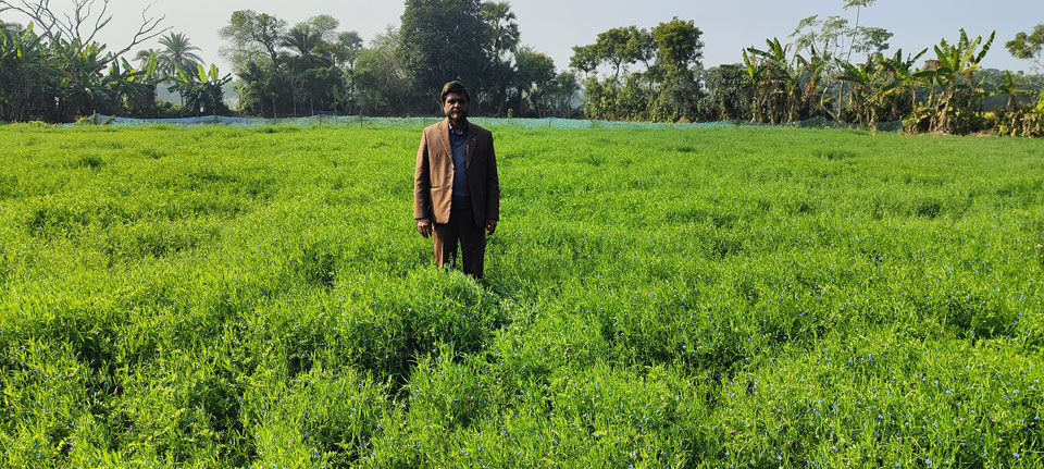 ডিডি স্যার