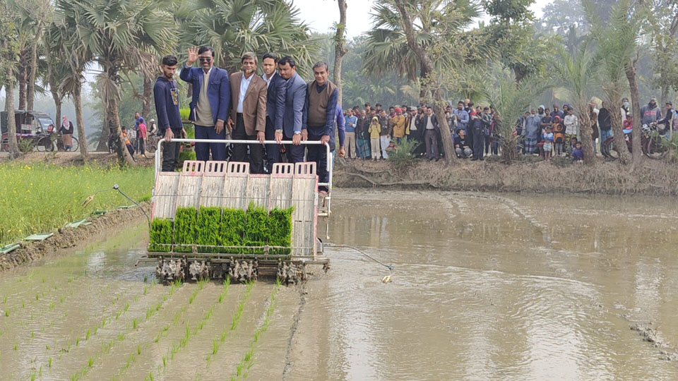 সমলয় চাষাবাদ