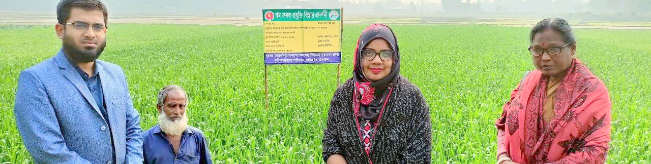 মাঠ পরিদর্শন