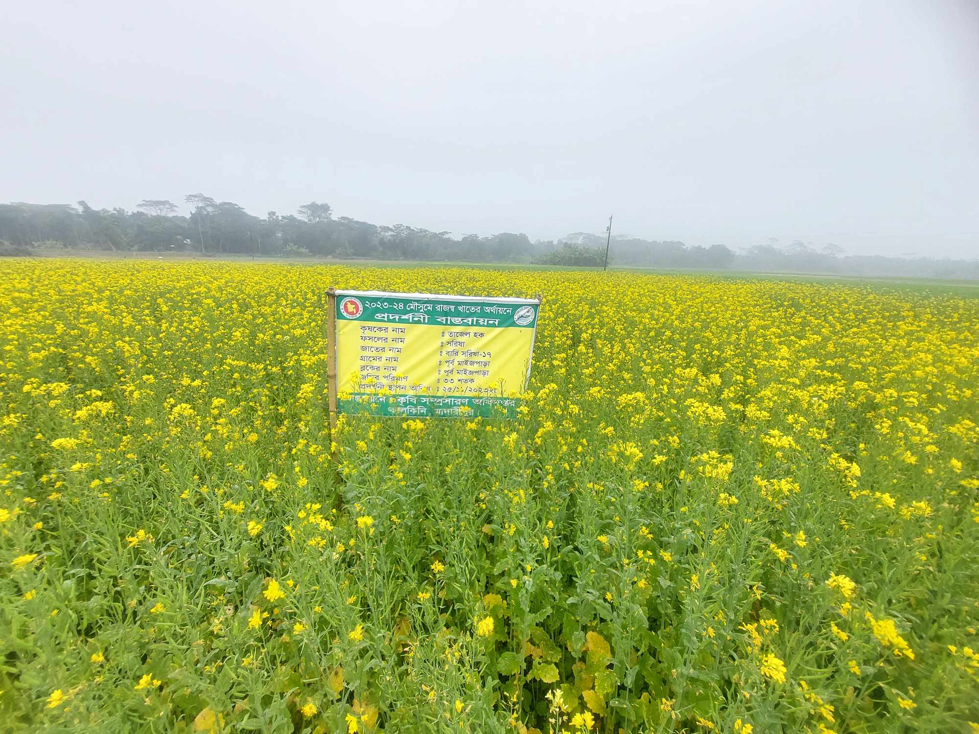 রাজষ্ব খাতের অর্থায়নে সরিষা প্রদর্শনী