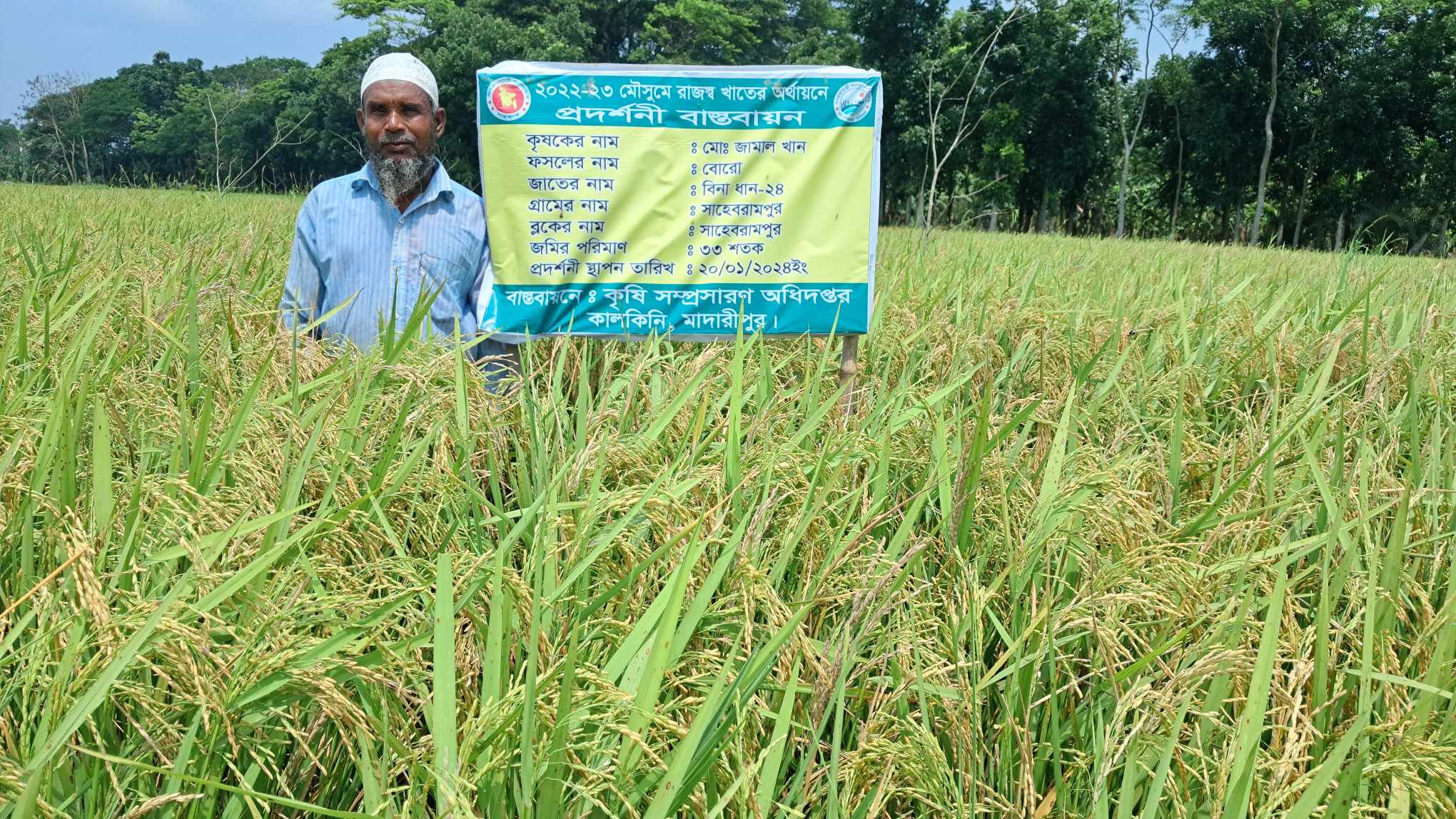 রাজস্ব খাতের অর্থায়নে প্রদর্শনী বাস্তবায়ন (নতুন জাত বিনা ধান ২৪)