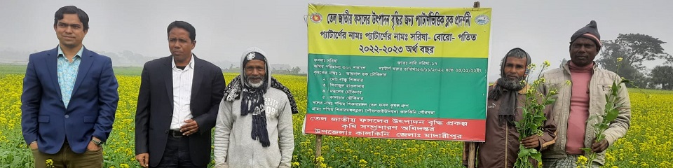 2022-2023 তেল জাতীয় ফসলের উৎপাদন বৃদ্ধির জন্য প্যাটার্ণভিত্তিক ব্লক প্রদর্শণী