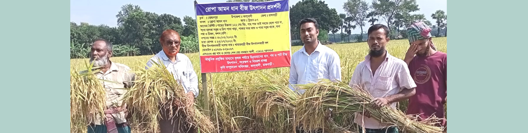 শস্য কর্তন