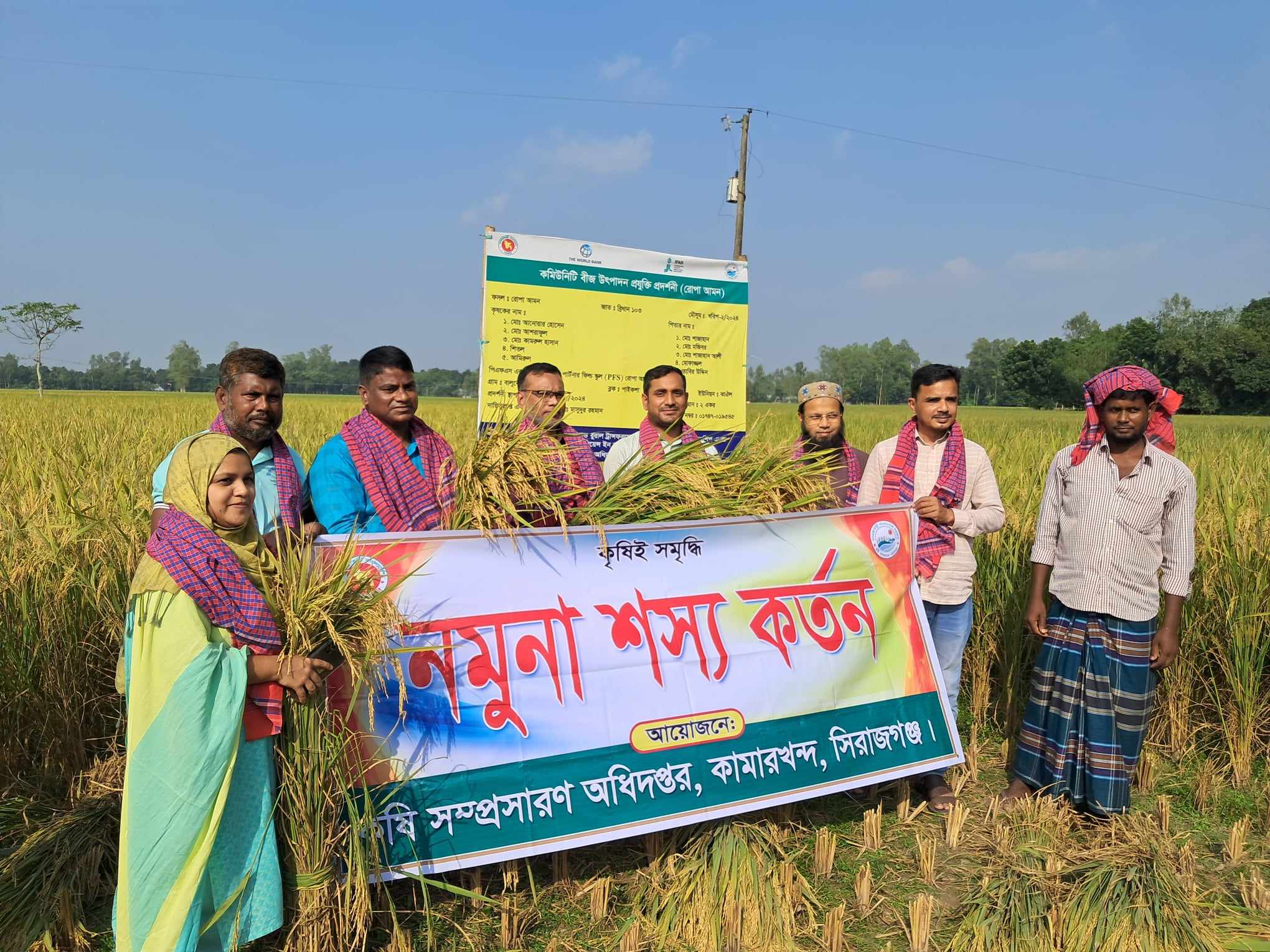 নমুনা শস্য কর্তন