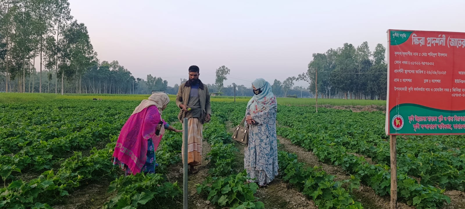 মাঠ পরিদর্শন