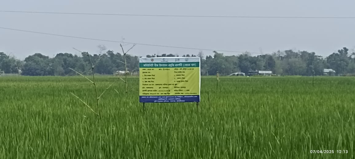 পার্চিং