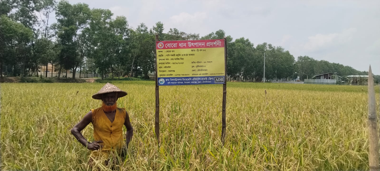 ব্রি ধান ৯২