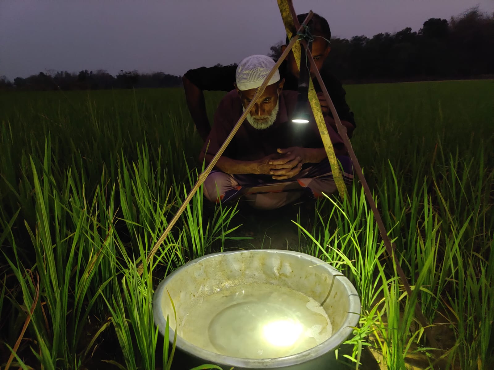 আলোক ফাঁদ