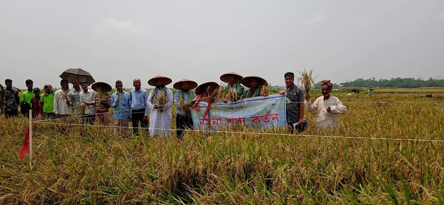 ধান কর্তন উৎসব