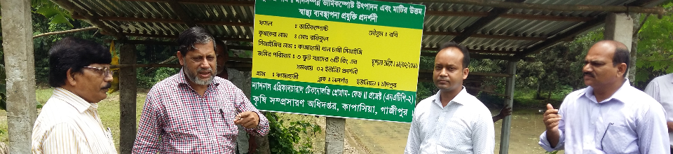 ভার্মি কম্পোস্ট