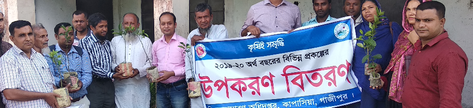 মাল্টা চারা বিতরন