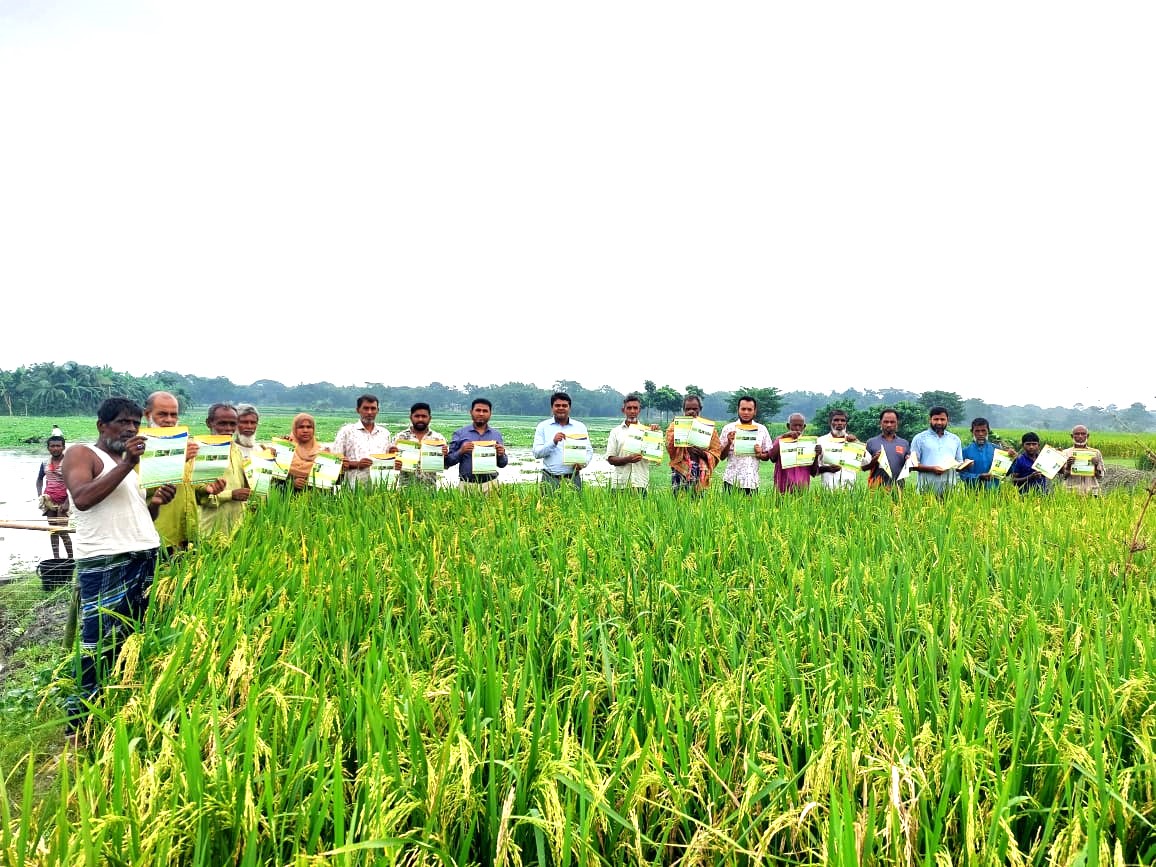 মাঠ স্কুলের ছবি