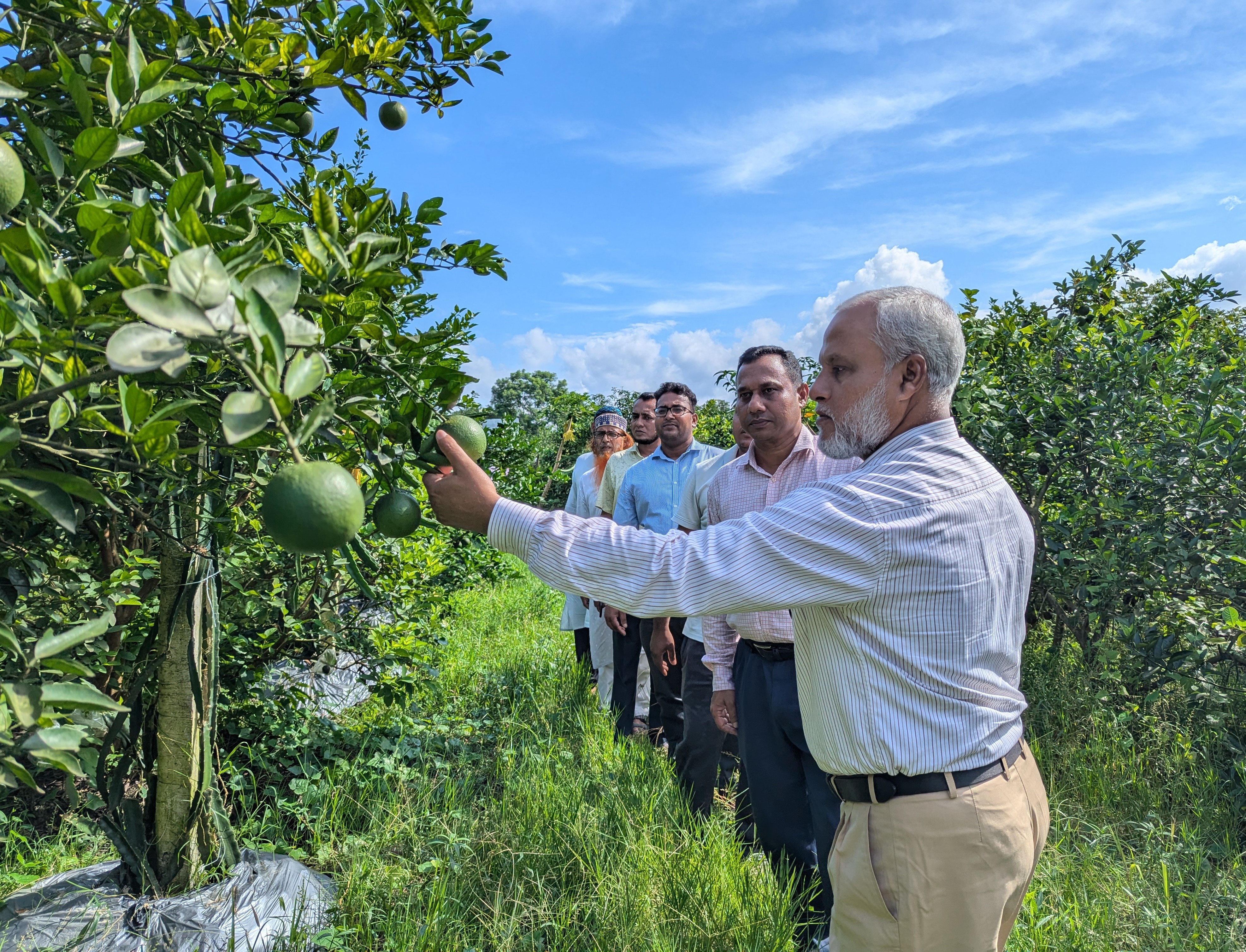 ফল বাগান পরিদর্শন