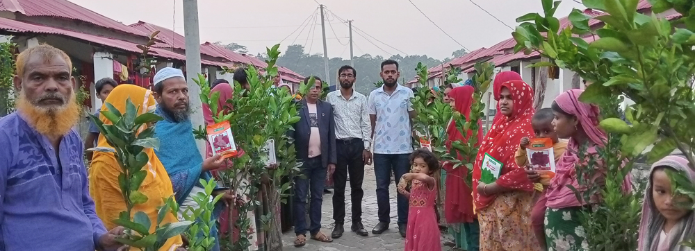 আশ্রায়ন প্রকল্পে মাল্টা চারা বিতরন