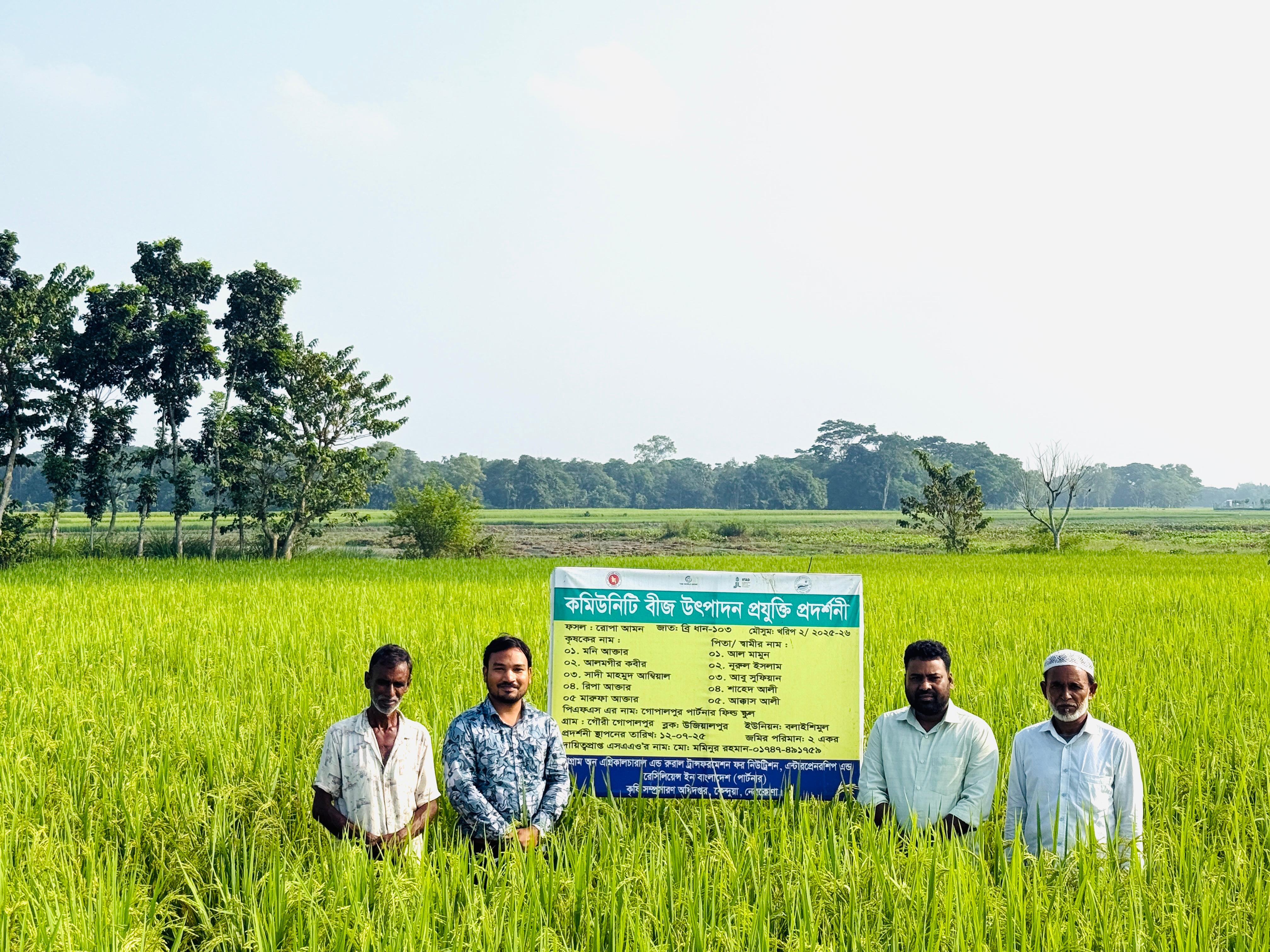 কমিউনিটি বীজ উৎপাদন