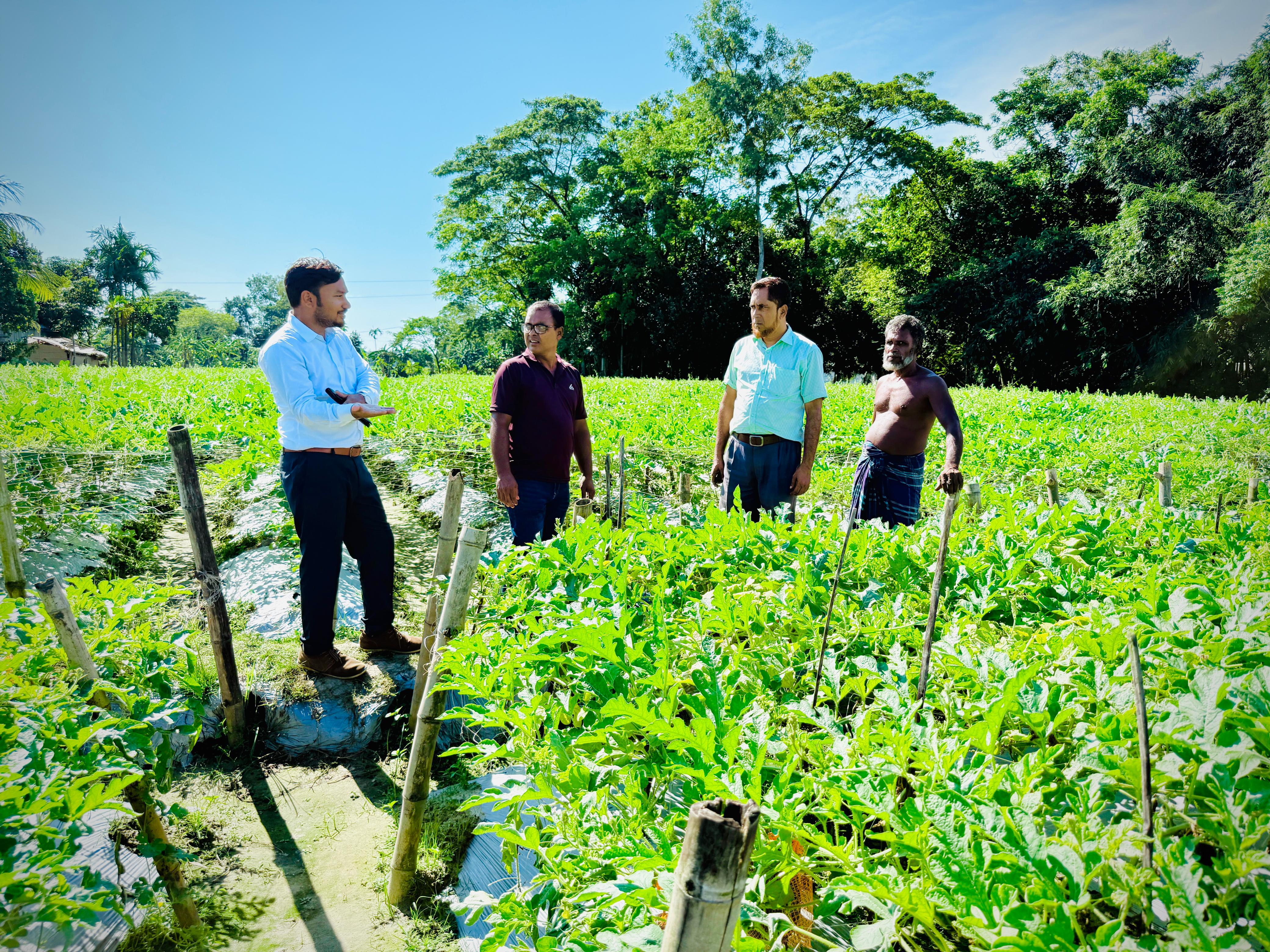 তরমুজ ক্ষেত পরিদর্শন