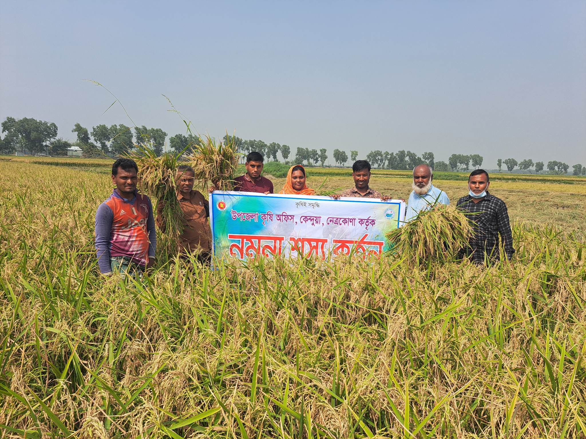 নমুনা শস্য কর্তন