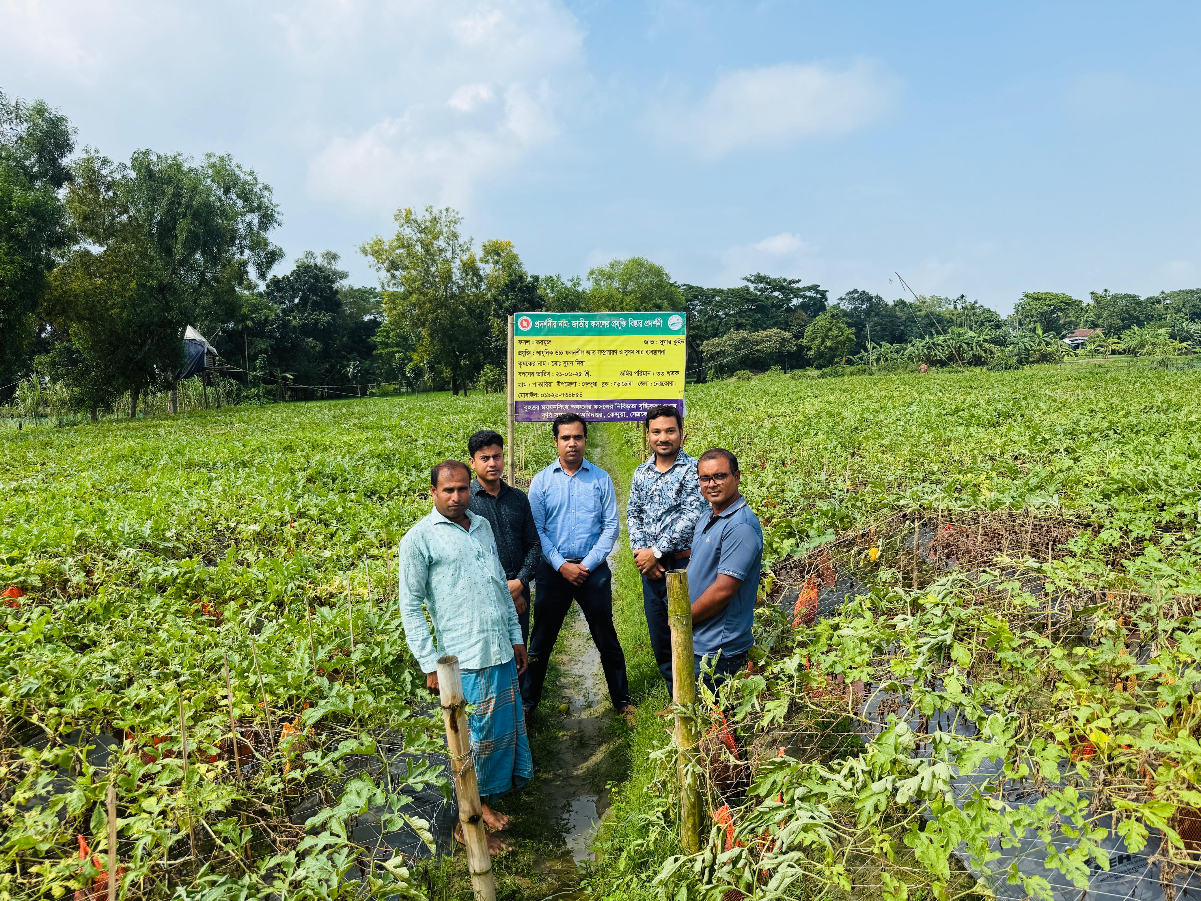 তরমুজ প্রদর্শনী