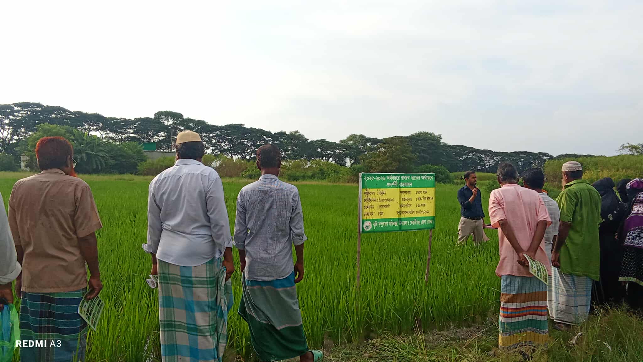 ধান ফসলের অতন্দ্র জরিপ