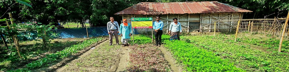 পারিবারিক পুষ্টি বাগান