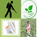 বালাইনাশক,নার্সারী ও সার ডিলারে তালিকা