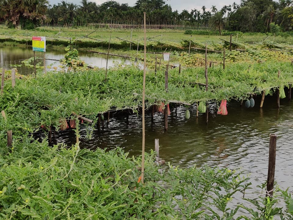 ব্যানার