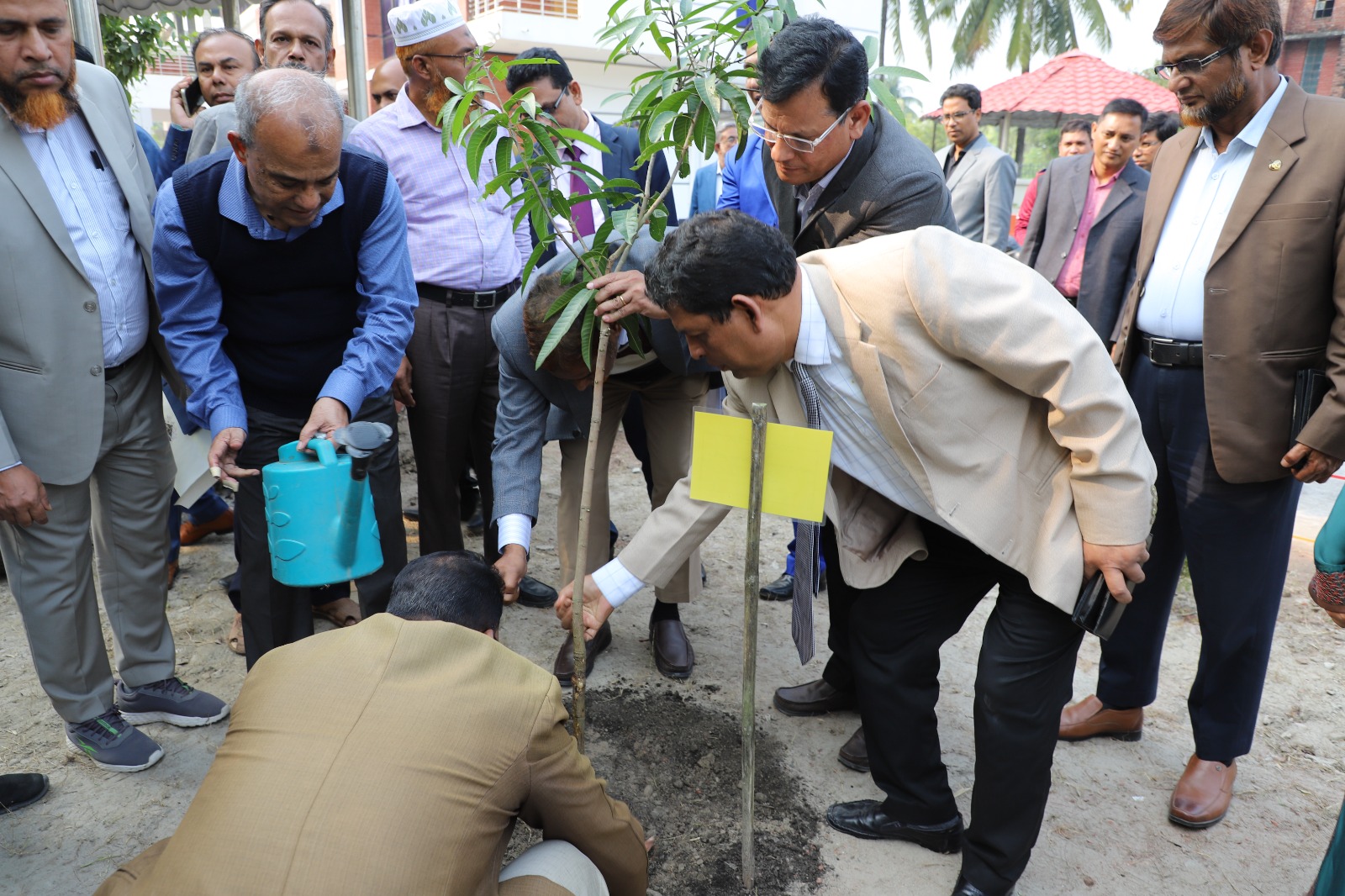 মাননীয় উপদেষ্টা মহোদয়ের বৃক্ষ রোপন