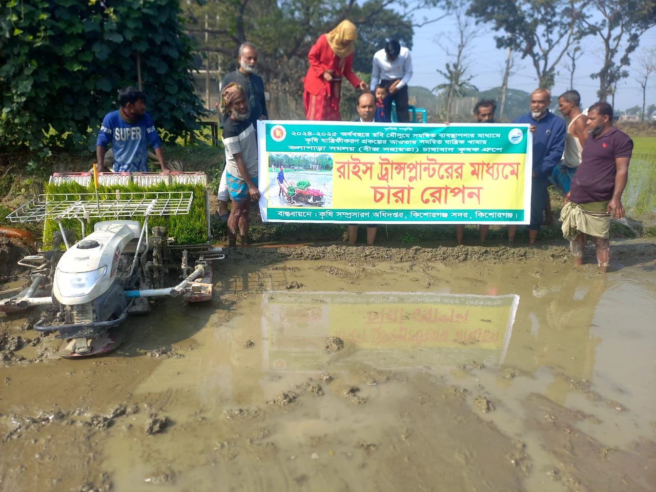 সমলয় প্রযুক্তির মাধ্যমে বোরো ধানের চারা রোপন