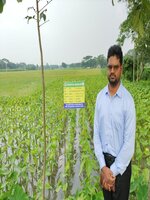 কন্দাল জাতীয় ফসল