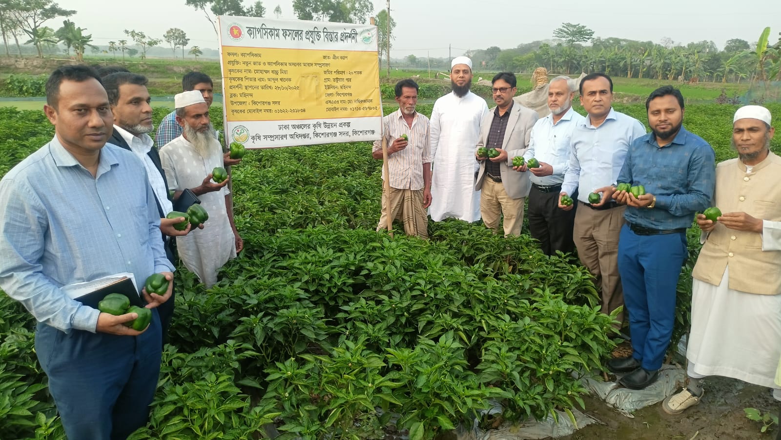 নতুন জাত ও ক্যাপসিকাম ফসলের আবাদ সম্প্রসারণ