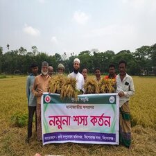 নমুনা শস্য কর্তন