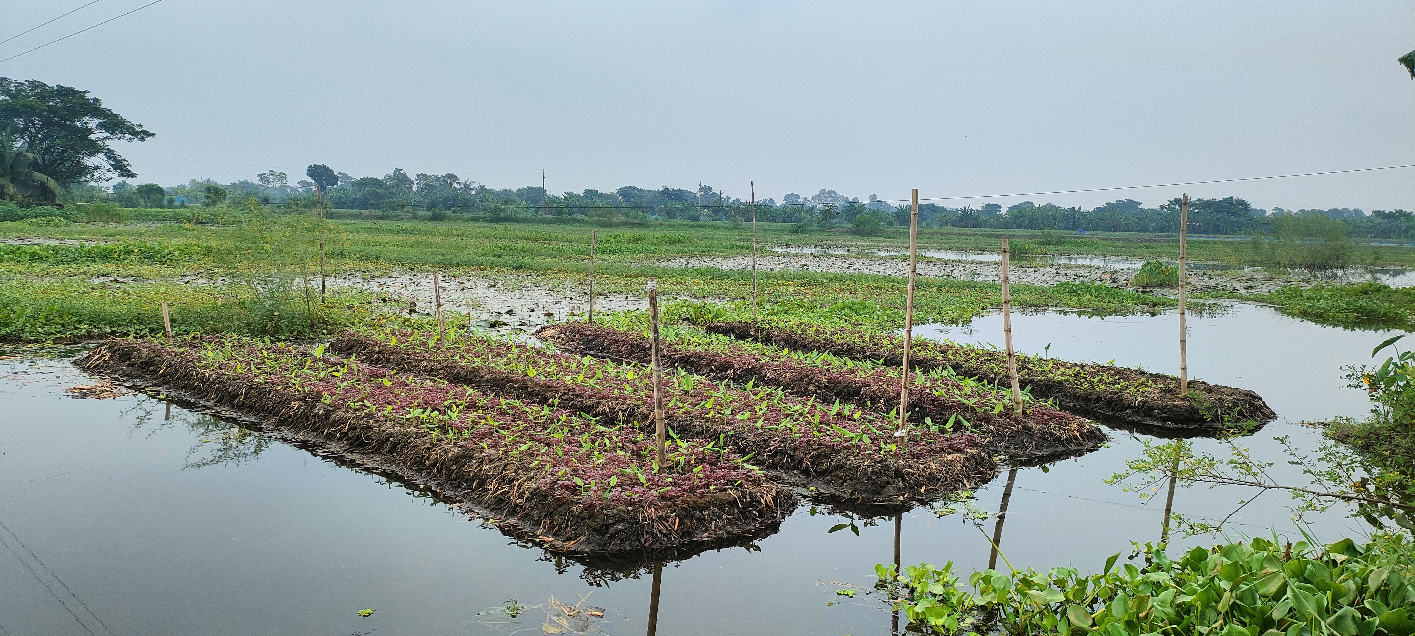 Climate smart agriculture and water management project