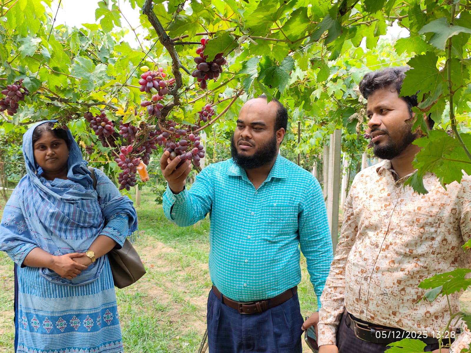 আঙ্গুর বাগান রামচন্দ্রপুর, বলুহর