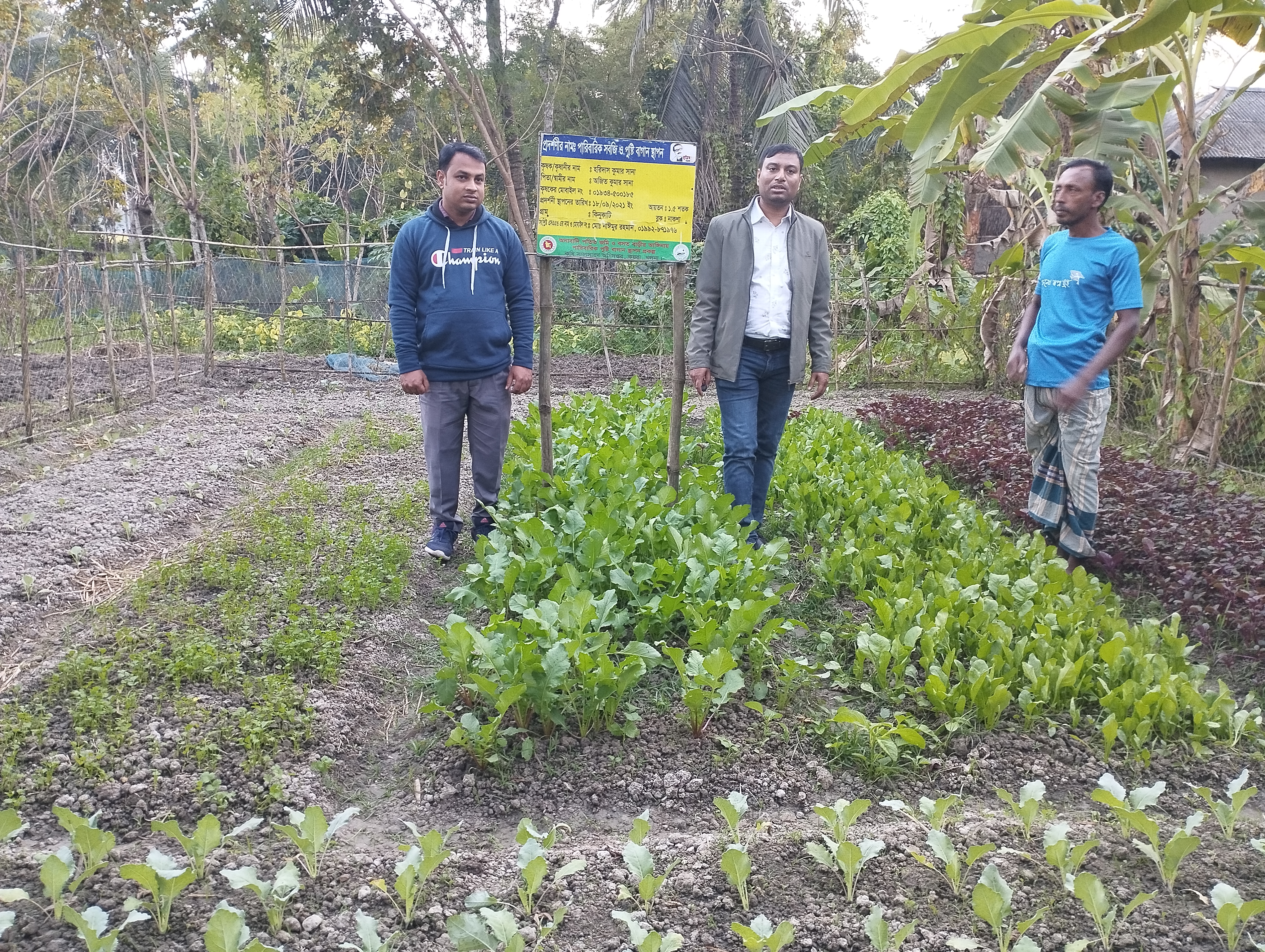 Service Process Simplification