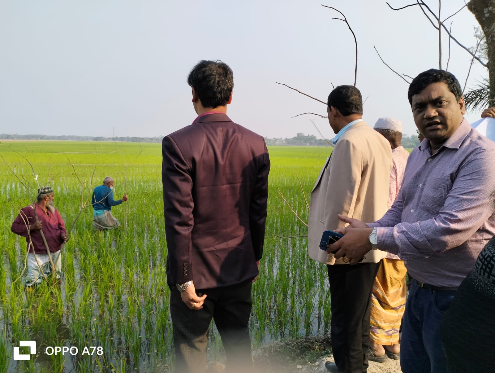 পার্চিং উৎসব