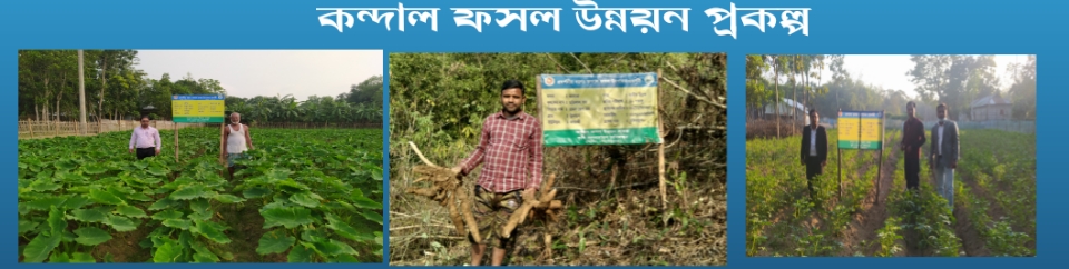 ব্যানার৩