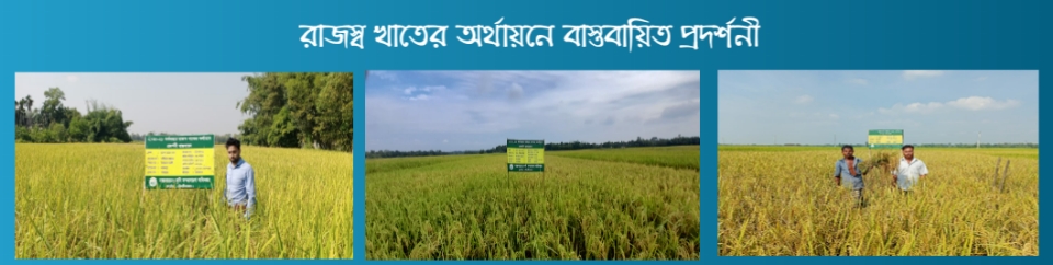 ব্যানার৪