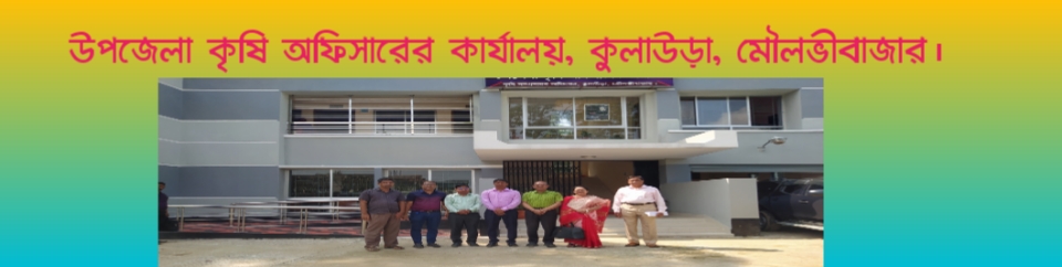 ব্যানার ১