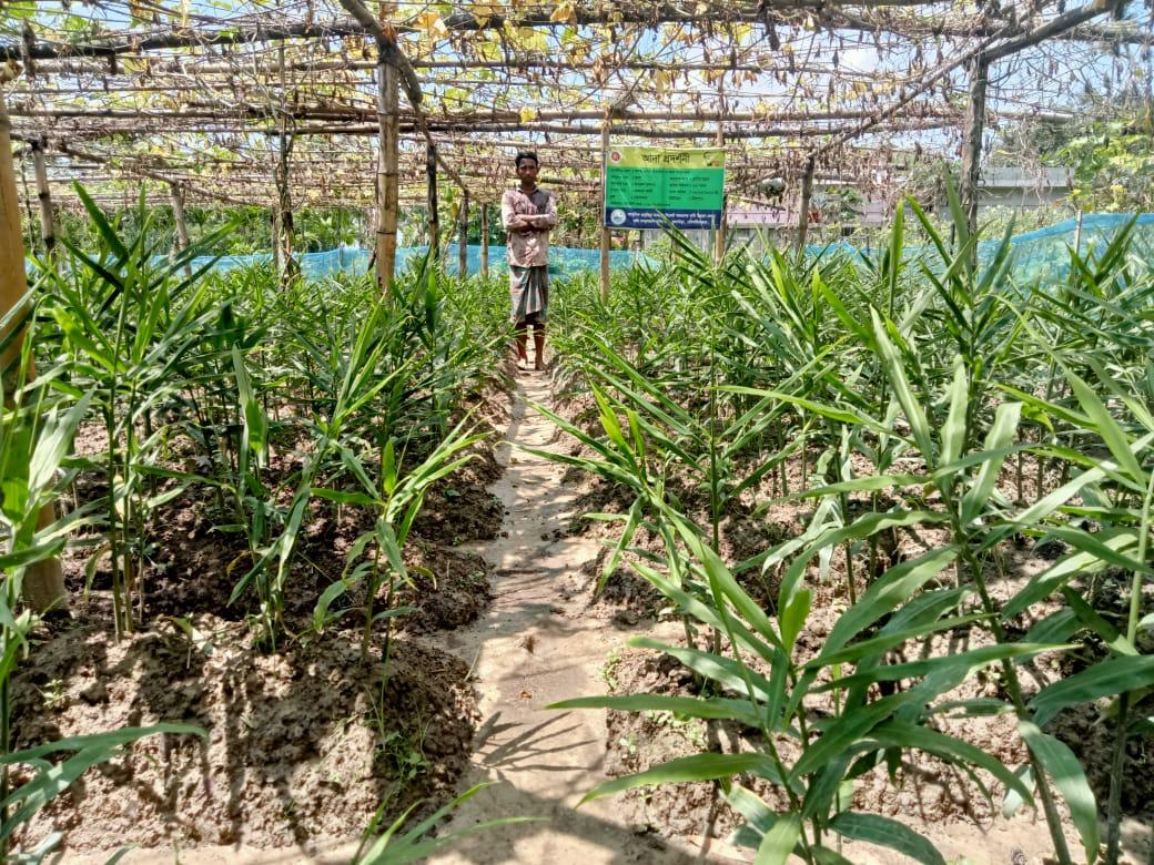 প্রকল্পের ছবি