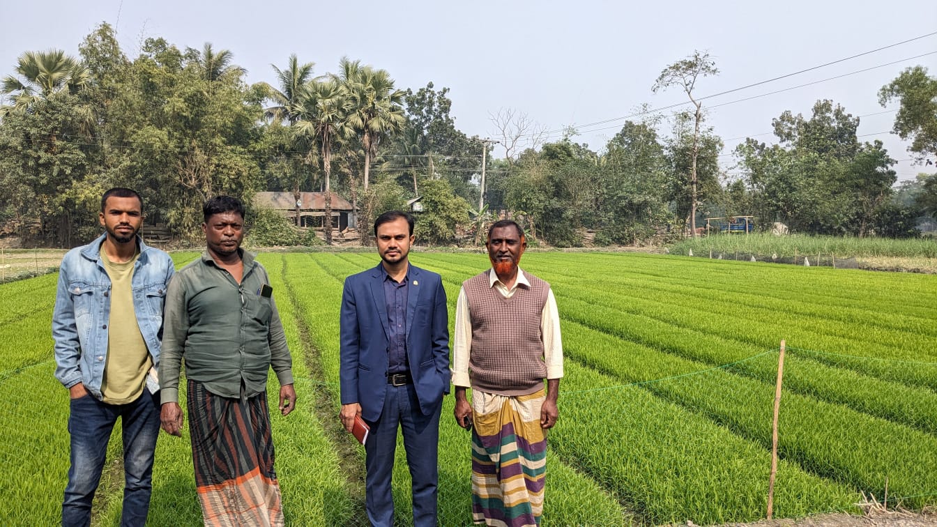 আদর্শ বীজতলা