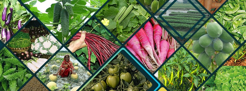 বিভিন্ন ফসল