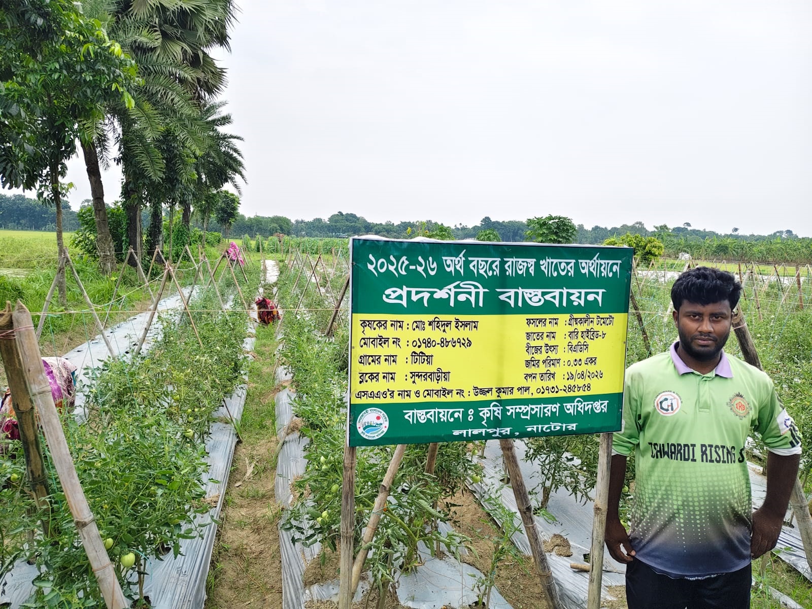 গ্রীষ্মকালীন টমেটো